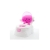 EuroBaby Nocniczek dla dziecka EB-8621PINK nocnik z wyciąganym zbiornikiem + nakładka sedesowa