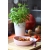 Wielofunkcyjna Miseczka-Talerzyk z przyssawką, Doidy Bowl kolor Różany, miska z silikonu spożywczego,