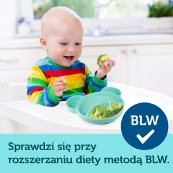 Silikonowy trójdzielny talerzyk z przyssawką MIŚ turkusowy o pojemności 500ml Canpol Babies 51/401