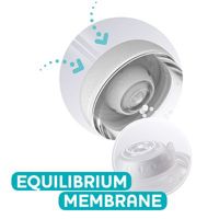 Membrana Equilibrium