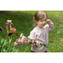 Pinokio bluzka z długim rękawem JULIA różowa bluzeczka dla dziewczynki rozmiary 110, 116, 122 cm