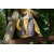 Pinokio bluza dresowa TEO curry rozmiary 110, 122 cm